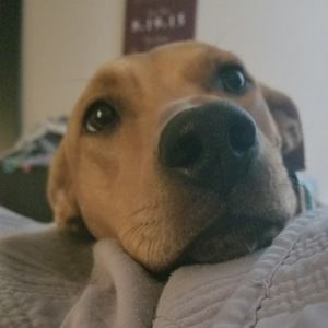 Meet your Posher, Terri